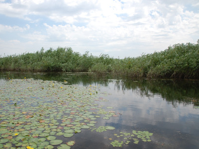 Parcul Natural Insula Mică a Brăilei